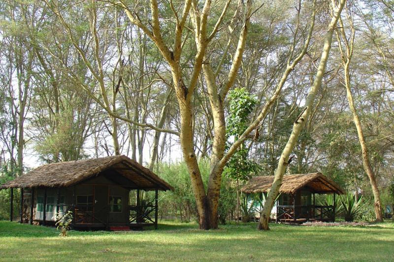 Migunga Tented Camp Mto wa Mbu Eksteriør bilde