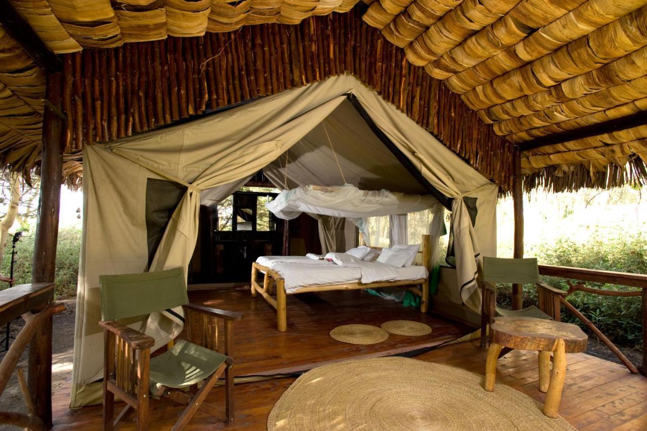 Migunga Tented Camp Mto wa Mbu Eksteriør bilde