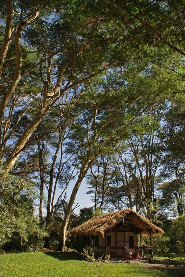 Migunga Tented Camp Mto wa Mbu Eksteriør bilde