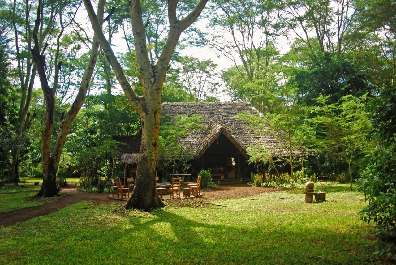 Migunga Tented Camp Mto wa Mbu Eksteriør bilde
