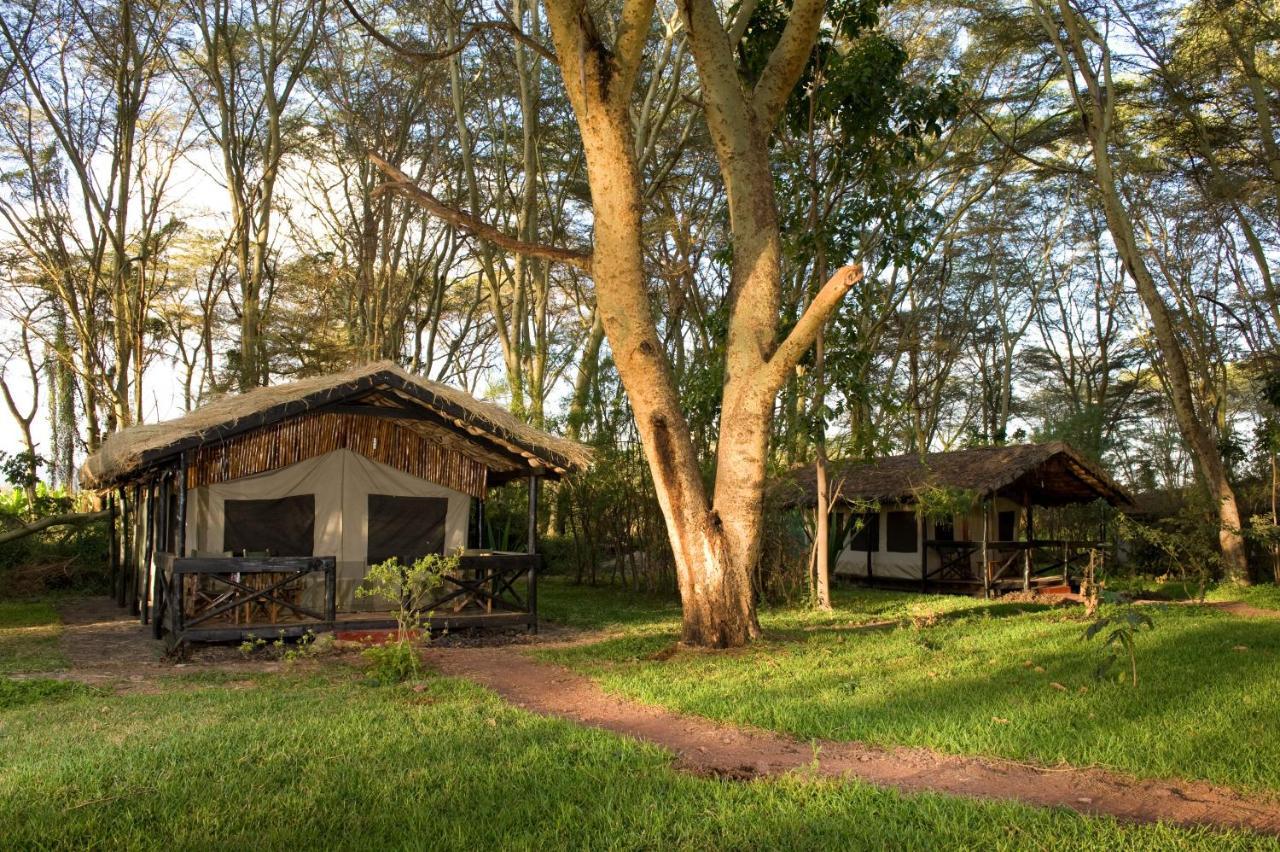 Migunga Tented Camp Mto wa Mbu Eksteriør bilde
